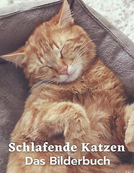 Schlafende Katzen: Fotobuch für Katzenliebhaber & Bilder von Katzenkindern, Demenz, Alzheimer und Patienten.