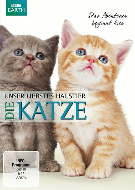 Unser liebstes Haustier - Die Katze DVD