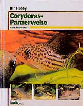 Ihr Hobby Corydoras - Panzerwelse
