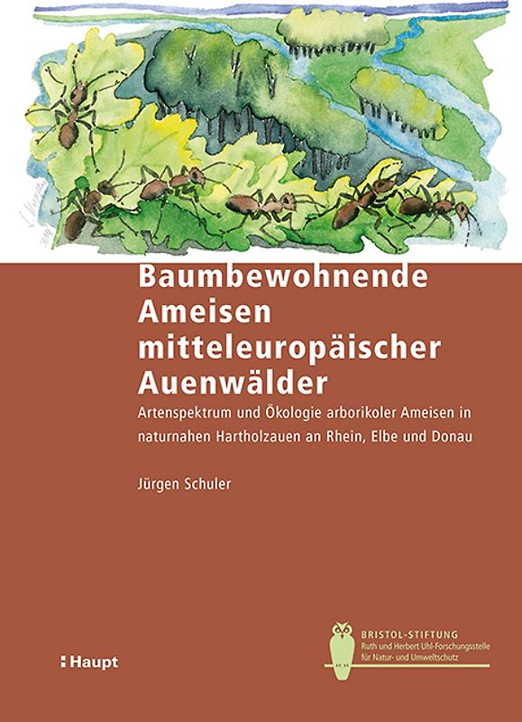 Baumbewohnende Ameisen mitteleuropäischer Auenwälder