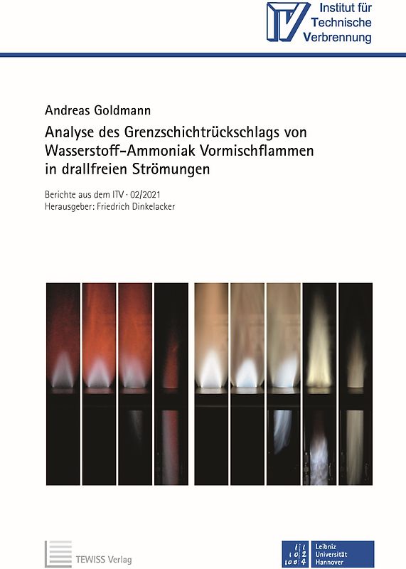 Analyse des Grenzschichtrückschlags von Wasserstoff-Ammoniak Vormischflammen in drallfreien Strömungen