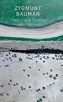 Theory and Society