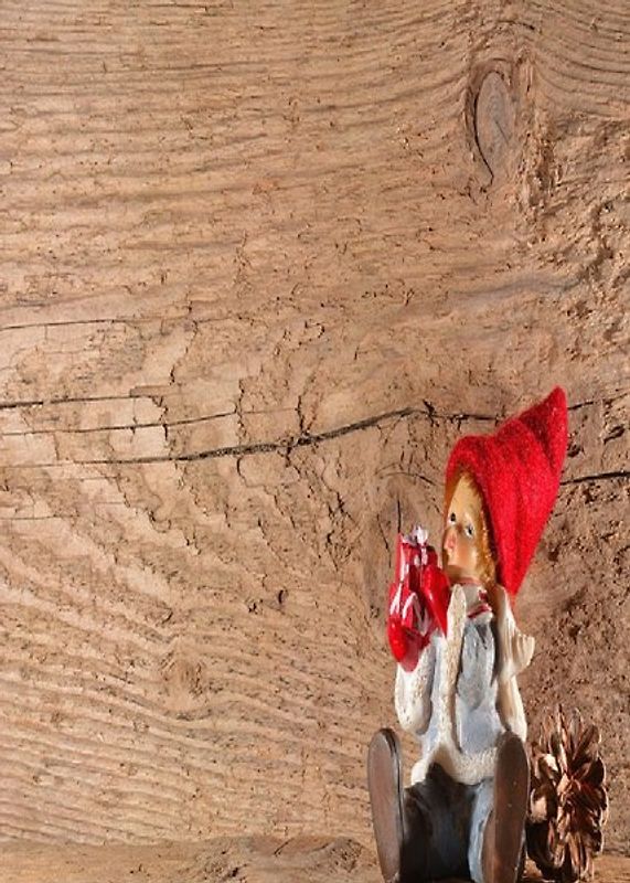 Der Wichtel vom Blumental