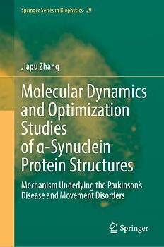 Molecular Dynamics and Optimization Studies of α-Synuclein Protein Structures