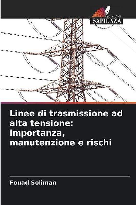Linee di trasmissione ad alta tensione: importanza, manutenzione e rischi