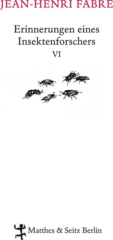 Erinnerungen eines Insektenforschers VI