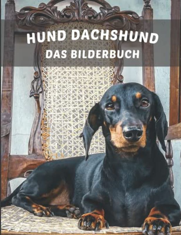 Hund Dachshund Das Bilderbuch: Das Bilderbuch des erstaunlichen Hundes Dackel für Senioren, demente Hundeliebhaber, Erwachsene mit Alzheimer und zur ... Patienten, die an Gedächtnisverlust leiden.