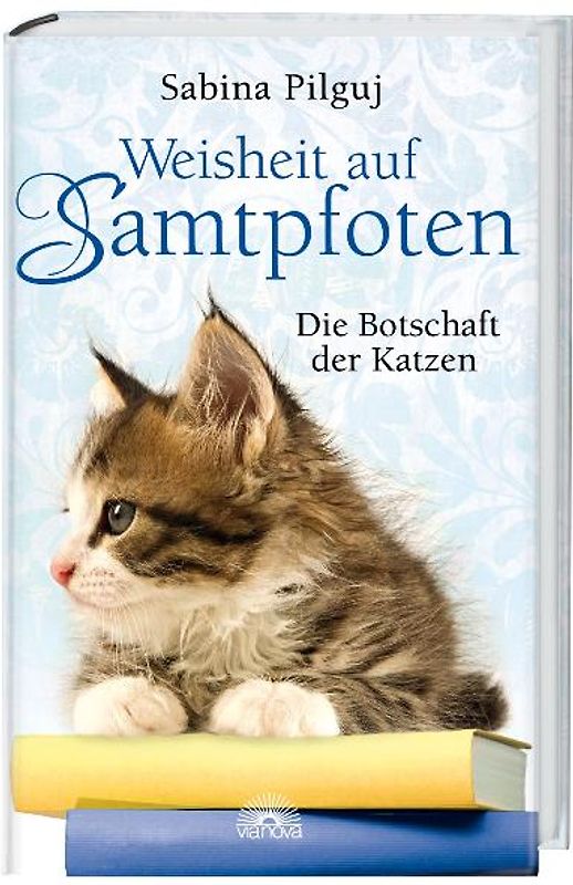 Weisheit auf Samtpfoten
