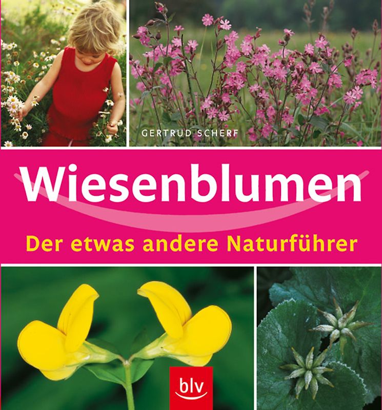 Wiesenblumen