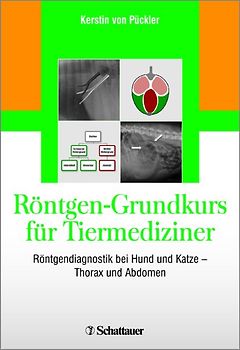 Röntgen-Grundkurs für Tiermediziner