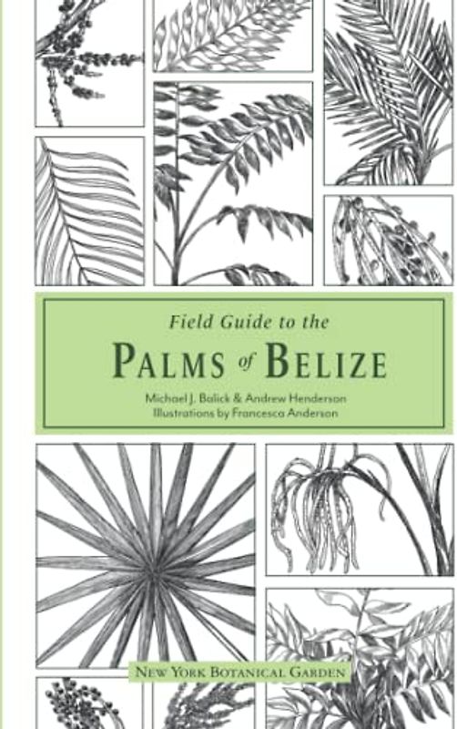 Field Guide to the Palms of Belize