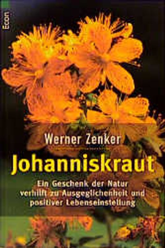 Johanniskraut. Ein Geschenk der Natur verhilft zur Ausgeglichenheit und positiver Lebenseinstellung