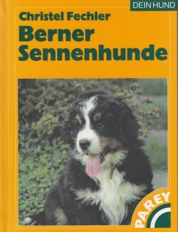 Berner Sennenhunde