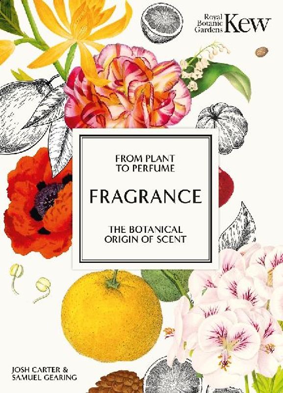 Kew - Fragrance