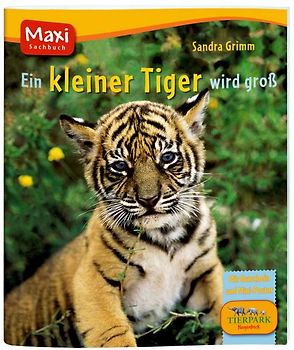 Ein kleiner Tiger wird groß
