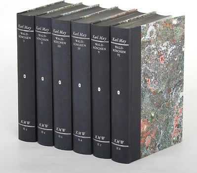 Karl Mays Werke: Historisch-Kritische Ausgabe für die Karl-May-Stiftung / Abteilung II: Fortsetzungsromane / Waldröschen IV