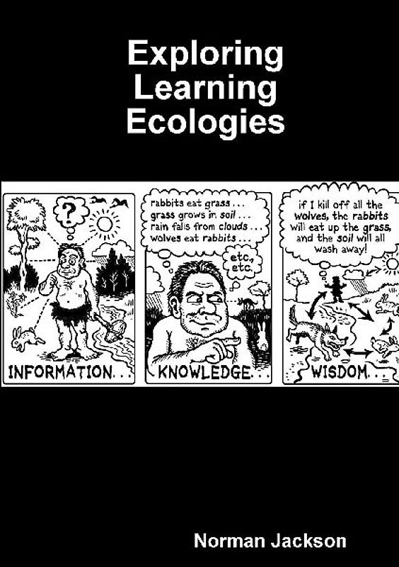 Exploring Learning Ecologies