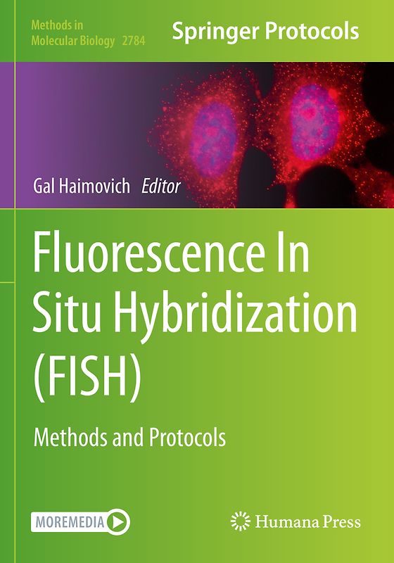 Fluorescence In Situ Hybridization (FISH)