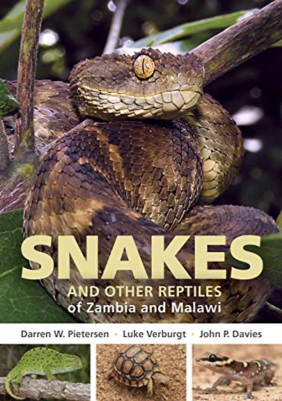 Snakes and Other Reptiles of Zambia and Malawi (Struik Nature Field Guides)