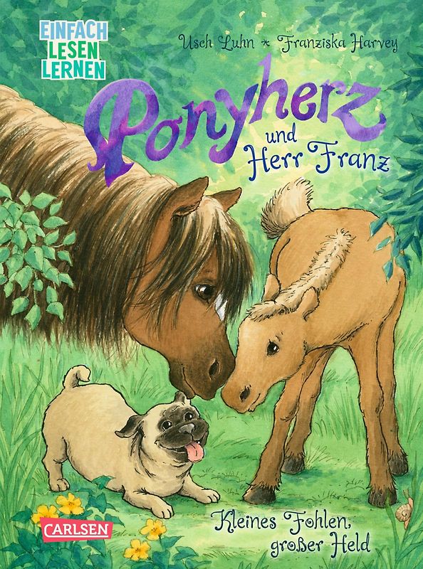 Ponyherz und Herr Franz: Kleines Fohlen, großer Held