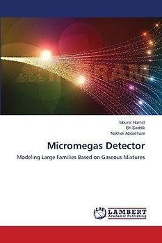 Micromegas Detector