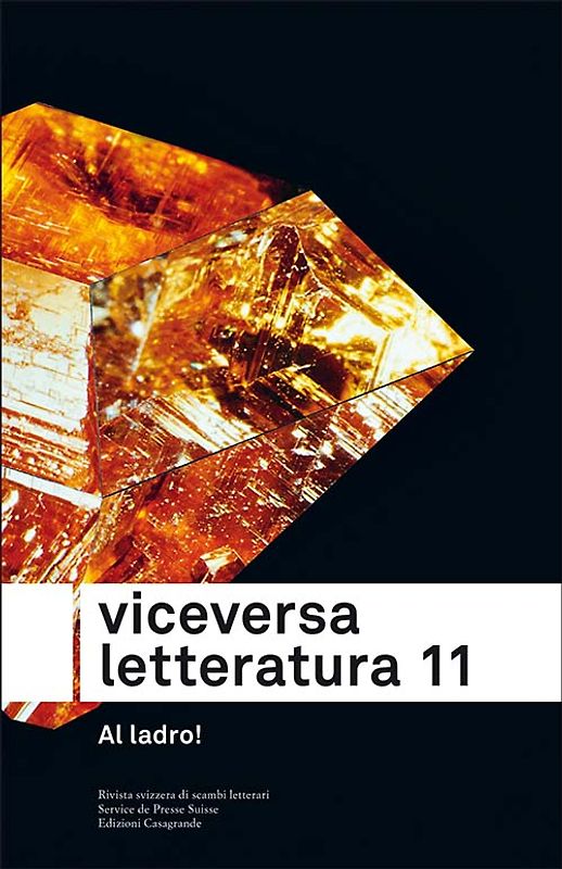 Viceversa Letteratura Nr. 11