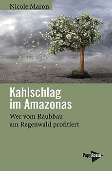 Kahlschlag im Amazonas