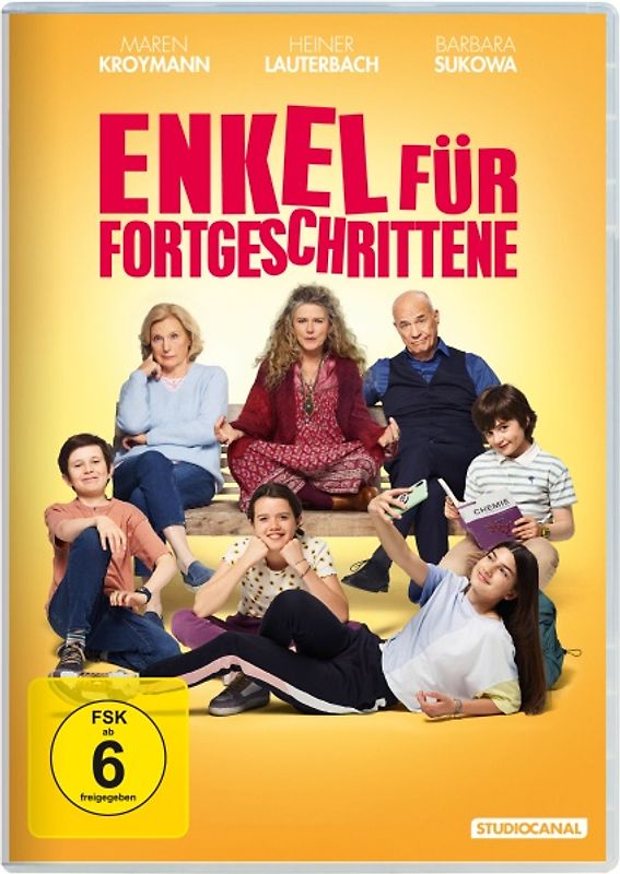 Enkel für Fortgeschrittene DVD