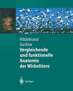 Vergleichende und funktionelle Anatomie der Wirbeltiere