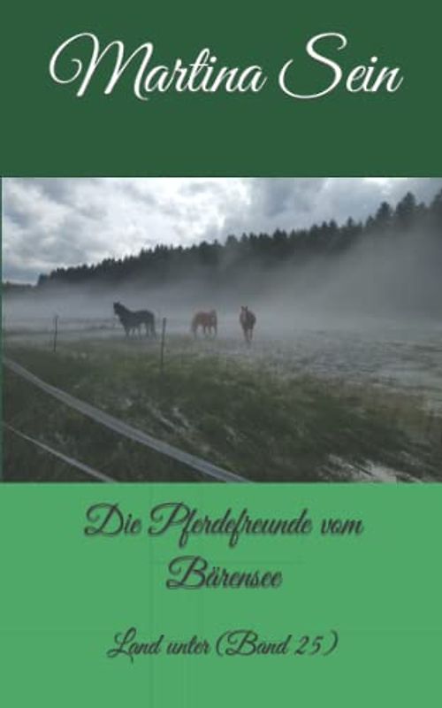 Die Pferdefreunde vom Bärensee: Land unter