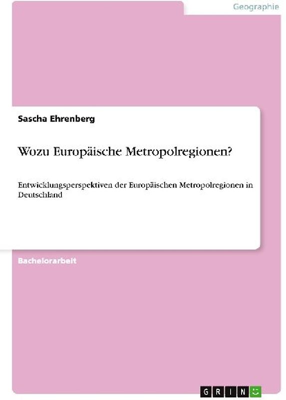 Wozu Europäische Metropolregionen?