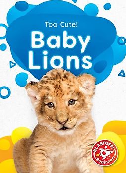 Baby Lions