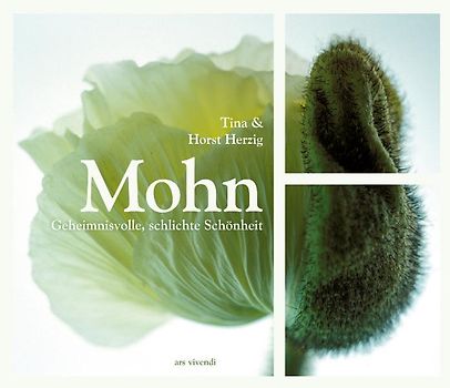 Mohn