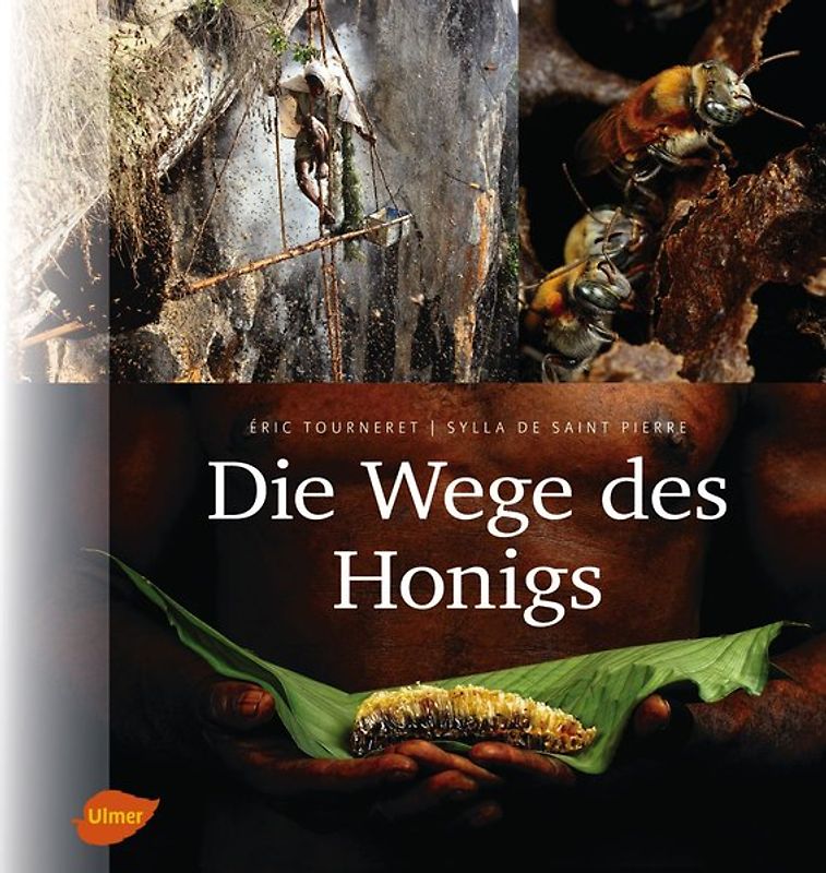 Die Wege des Honigs