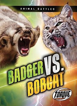 Badger vs. Bobcat