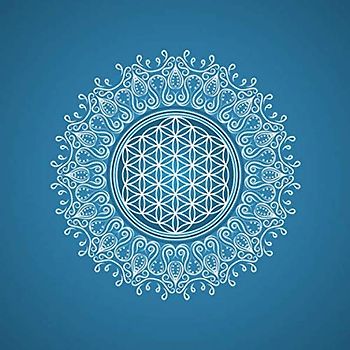 Blume des Lebens Mandala: Ein Buch für mehr Achtsamkeit und Bewusstsein im Leben (Bullet Journal – Blume Des Lebens, Band 8)