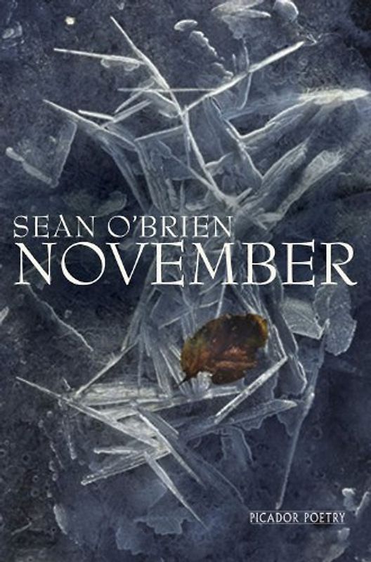 November (Picador Poetry) - Sean O'Brien