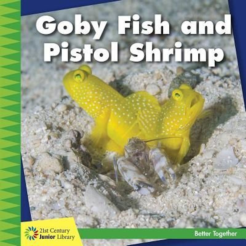 Goby Fish and Pistol Shrimp