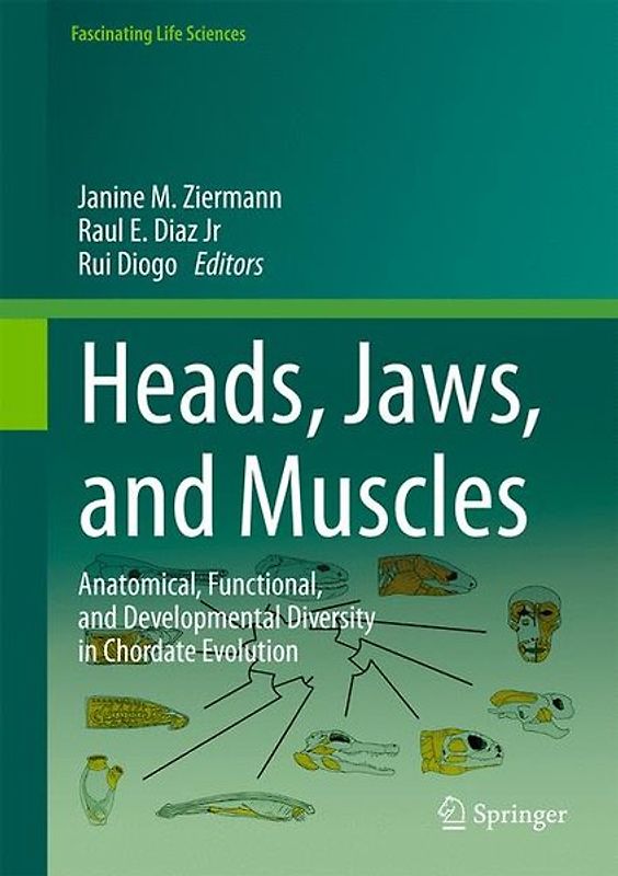 Heads, Jaws, and Muscles