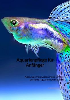 Aquarienpflege für Anfänger