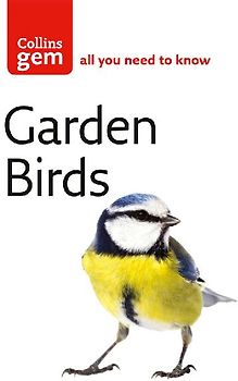Garden Birds