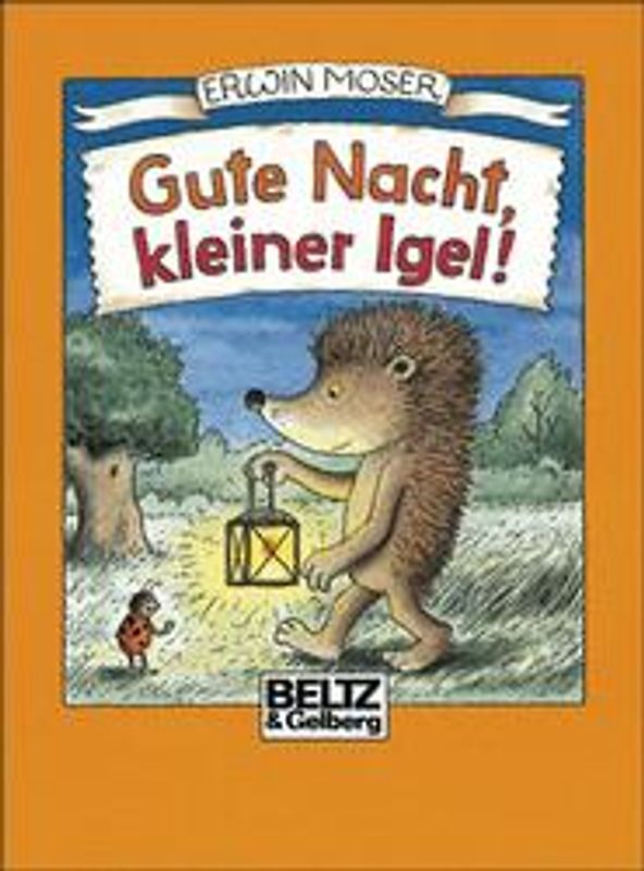 Gute Nacht, kleiner Igel!. Vierfarbiges Mini-Bilderbuch