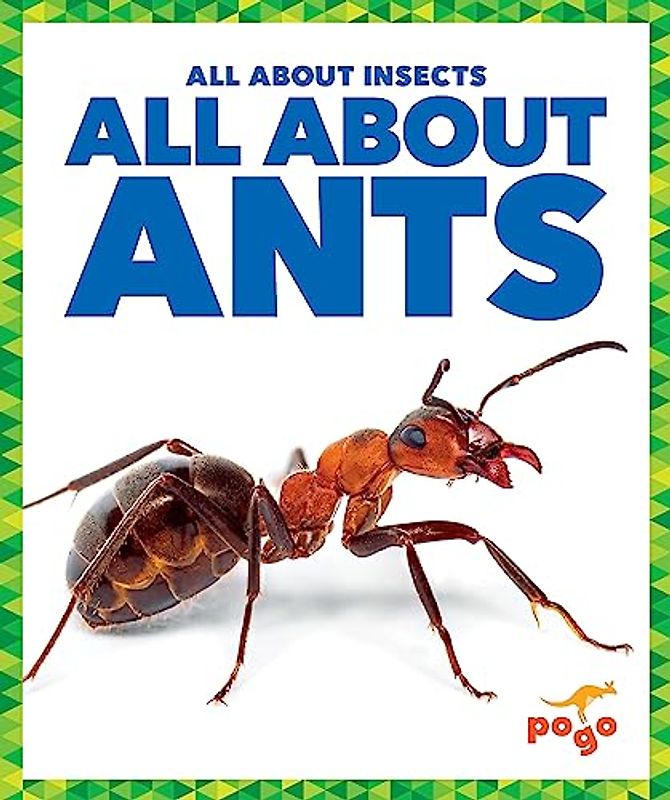 All about Ants