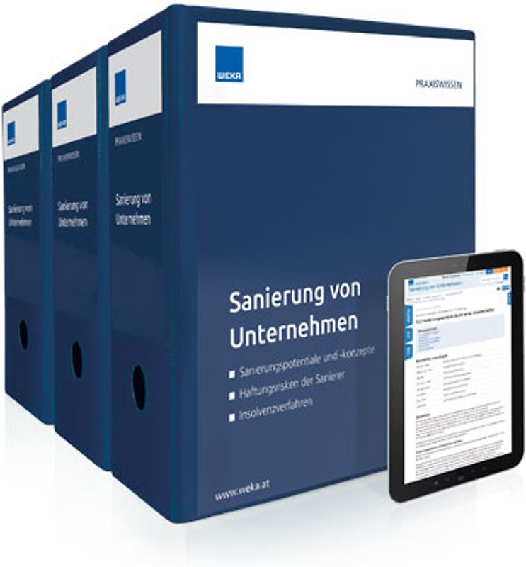 Sanierung von Unternehmen
