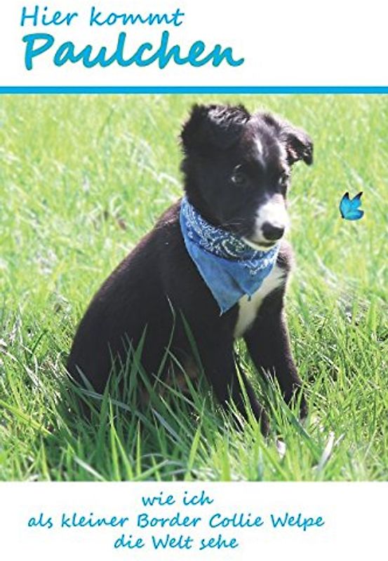 Hier kommt Paulchen: wie ich als kleiner Border Collie Welpe die Welt sehe