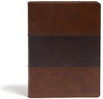 KJV Study Bible, Full-Color, Saddle Brown Leathertouch