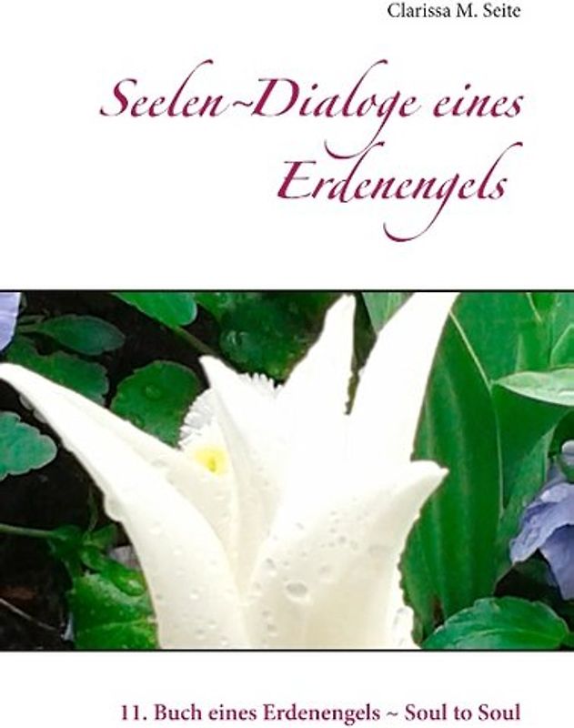 Seelen-Dialoge eines Erdenengels