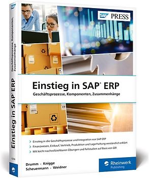 Einstieg in SAP ERP