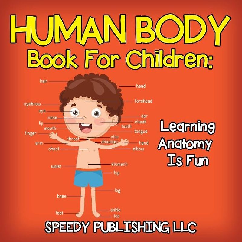 Human Body Book For Children