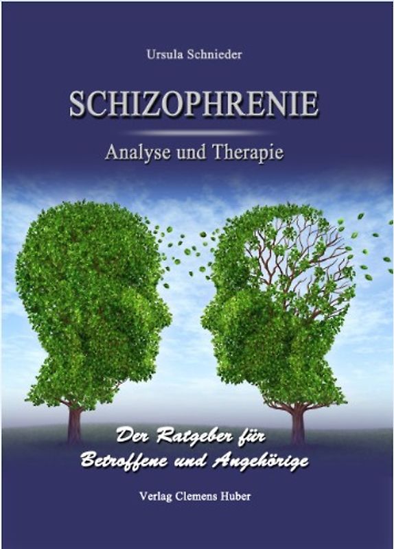 Schizophrenie - Analyse und Therapie
